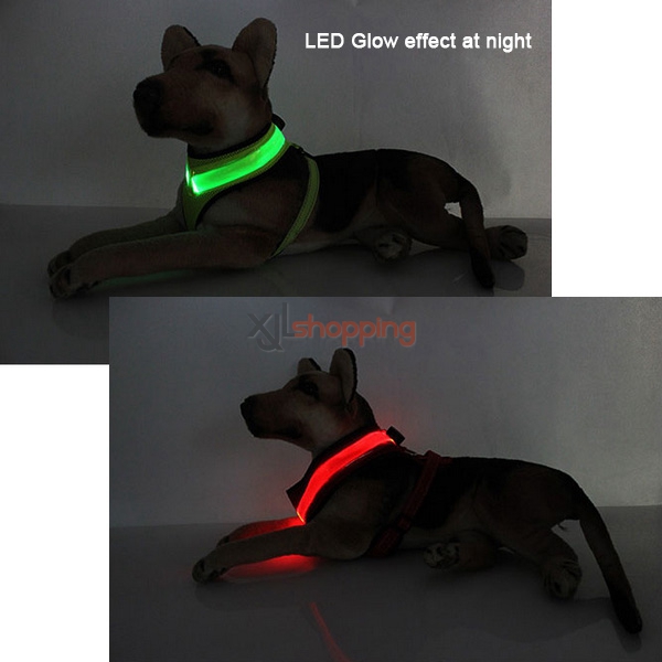 Super bright LED light pet collars, anti fluorescent luminous golden collar Teddy pet dog collar harness belt