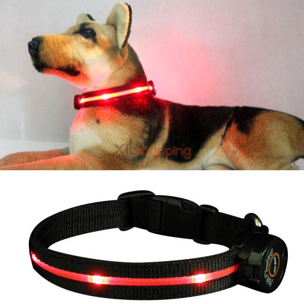 LED light dog collar medium-sized dogs and cats reflective luminous golden Samoyed dog collar collar