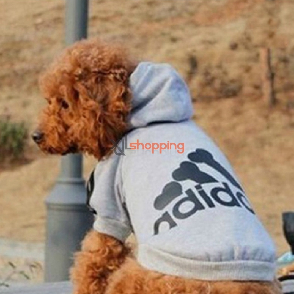 Teddy fall and winter warm hooded sweater